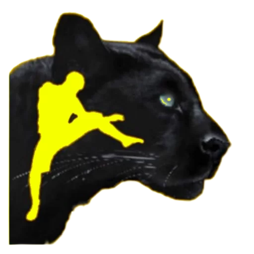 bilge-panter-logo